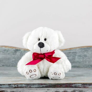 Teddy soft toy