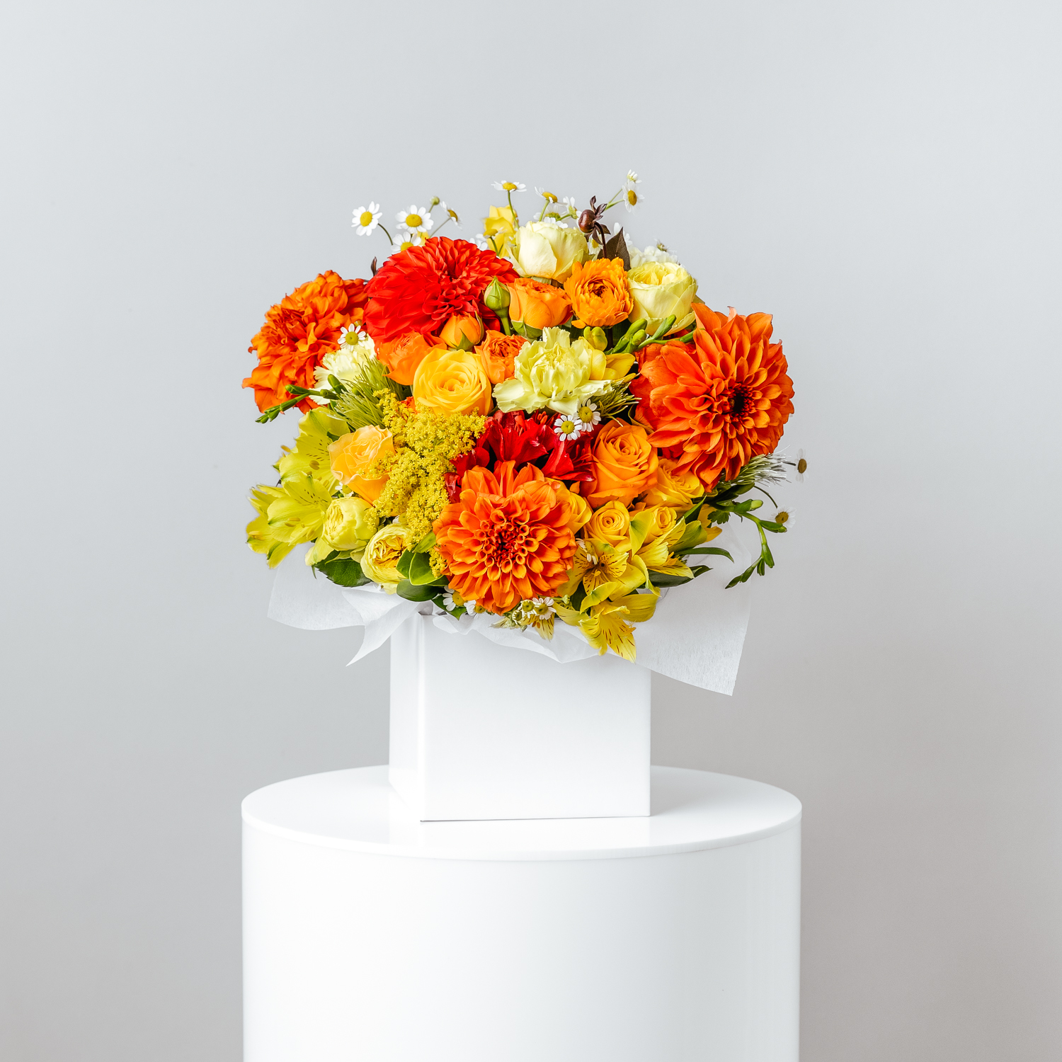 bright and cheery flower box - Amber