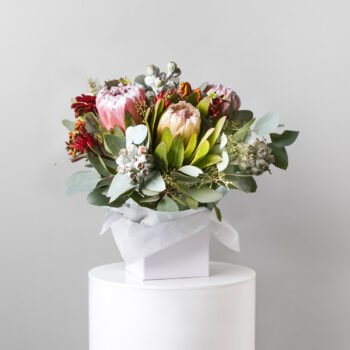 native flower box - Gemma