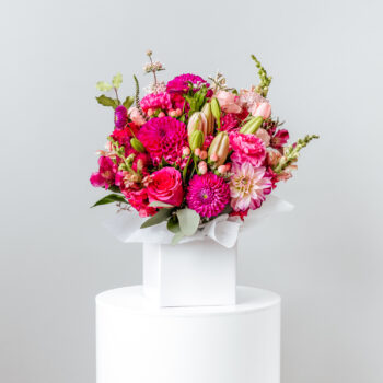 pink flower box - Isla