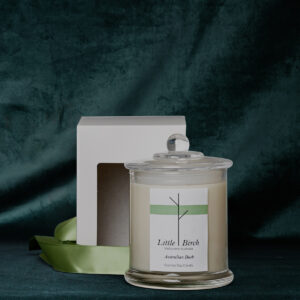 Candle 1