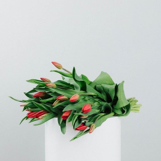 Rihanna - Red Tulip Bouquet